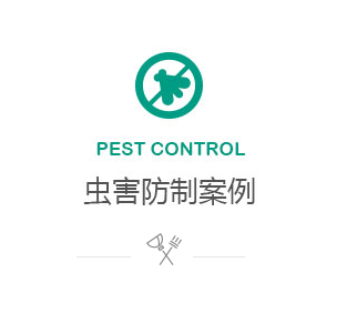 虫害防治案例